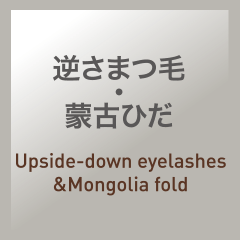 逆さまつ毛・蒙古ひだ：Upside-down eyelashes & Mongolia fold