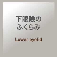 下眼瞼のふくらみ：Lower eyelid